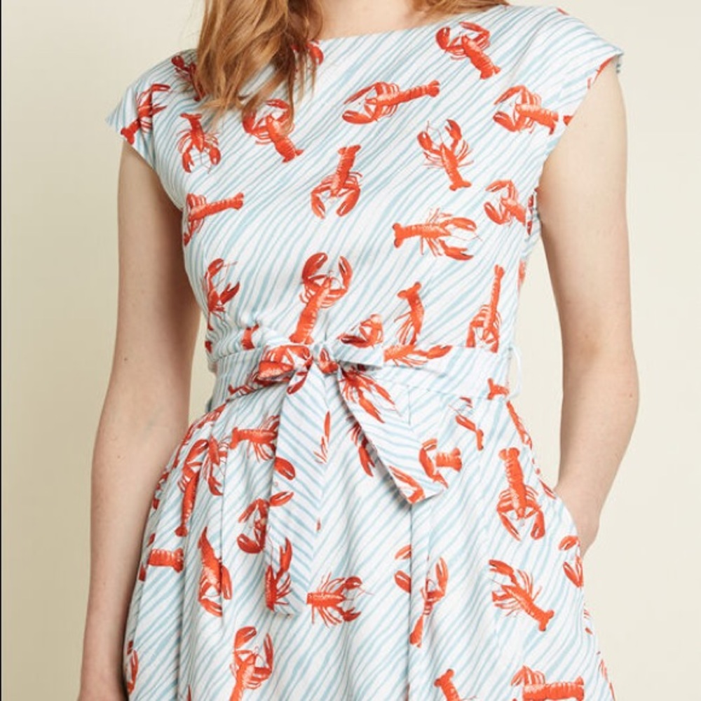 PALAVA Sartorial Storyline A-Line Dress